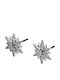 Silver Star Ohrringe aus Silber mit Steinen