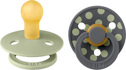 Bibs Pacifiers Rubber Sage/Iron for 0+ months 2pcs