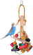 Παιχνίδι Παπαγάλους Birds Kingdom Μπερδεγουέι 36εκ Bke3471