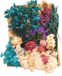 Dried Flowers Mix Turquoise