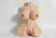 Ophelia's Dream Masturbator Vagina / Butt 2325709