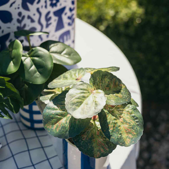 Τεχνητό Φυτό σε Γλαστράκι Μπλε Beauty Home
