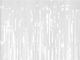 White Decorative Curtain 100x200cm
