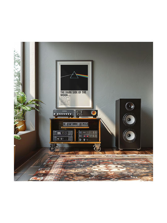 Music Poster Dark Side Moon Pink Floyd Ms571 30...