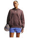 Sportswear Phoenix Long Women's Sweatshirt Hooded Brown