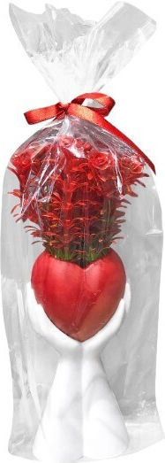 Decorative Pot Palm Red Flowers & Red Heart 35x10cm