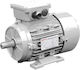 Electric motor