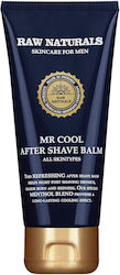 Raw Naturals Mr.cool 100% Vegan Refreshing After-shave Balm 100 Ml