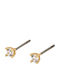 Verame Earrings with Stones