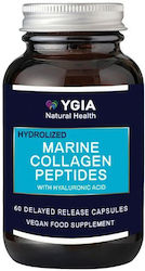 Ygia Hydrolized Marine Collagen W Hyaluronic Acid D R 60 Capsules 400mg+100mg