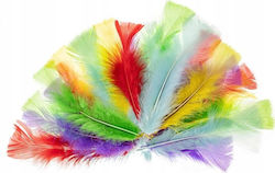 Fandy Truthahn Federn 10-15cm Pastell