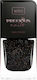 Wibo Nagellack Schnelltrocknend Schwarz 01