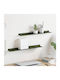 Regale Wand Green 2Stück 60x9x2.5cm
