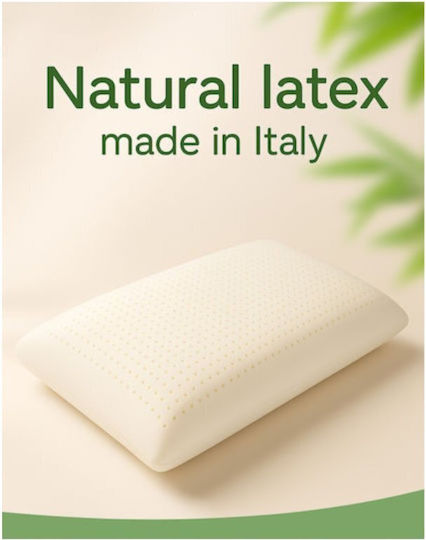 Strom Eco Natural Latex Standard Pernă de Dormit Latex 40x60x12cm