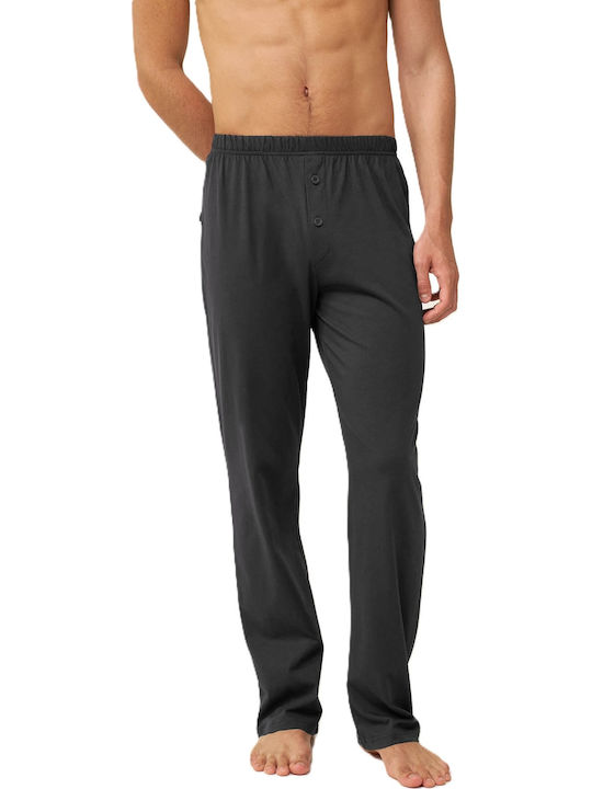 Vamp Dark grey