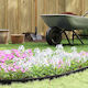vidaXL Plastic Garden Hedge in Black Color