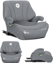 Lorelli Pyxis i-Size 22-36 kg mit Isofix Grey