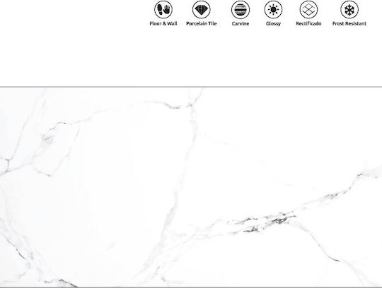 LV Granito Fliese Boden / Wand Innenbereich 120x60cm Gray