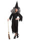 Carnival Costume Adults