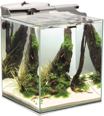 Aquael Fish&shrimp Set Duo D&n 35 White 2.0