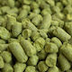 East Kent Goldings 5.7%