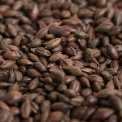 Roasted Barley 1150ebc