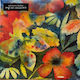 Adrianne Lenker Songs Instrumentals Vinyl