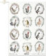 Decoupage Rice Paper Chickens Roosters Chicks A...