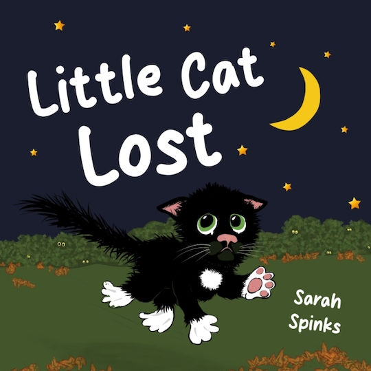 Little Cat Lost - Cranthorpe Millner Publishers - Paperback / Softback Little Cat Lost - Cranthorpe Millner Publishers - Paperback / Softback