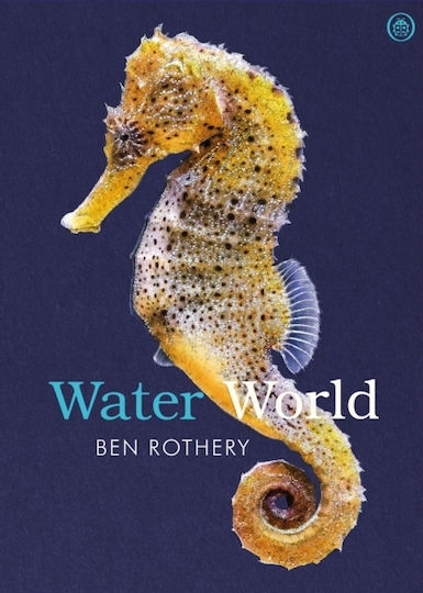 Water World - Penguin Random House Children's Uk - Paperback / Softback