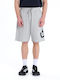 Sport Herren Shorts Grau 261.EM26.38