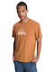 T-shirt Brown