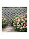 Spalier Garten Privacy aus Kunststoff in Grau Farbe 120x240cm
