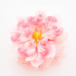 Premium Floral Hair Clip Hibiscus Dream Boho Ap...