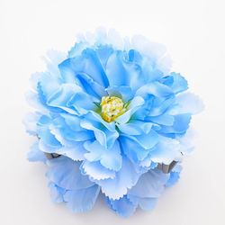 Premium Floral Hair Clip Hibiscus Dream Boho Ap...