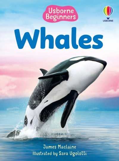 Beginners Whales - Usborne Publishing Ltd - Hardback