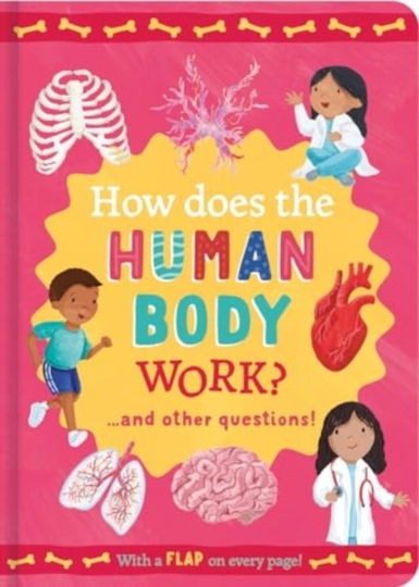 How Does The Human Body Work? - North Parade Publishing - Hardback