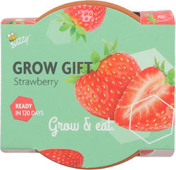 Kit Cultivare Căpșuni – Cadou Ideal Pentru Petrecere Copii