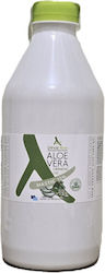 Litinas Aloe Vera Gel 1000ml Μαστίχα