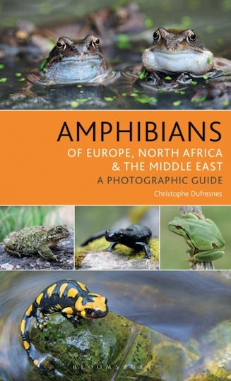 Amphibians Of Europe, North Africa And The Middle East - Bloomsbury Publishing Plc - Paperback / Softback