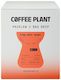 Coffee Plant Cafea Espresso Sol În Cutie 10x11gr