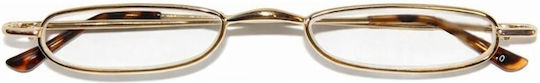 Next Reading Glasses +1.50 in Gold Colour 28066-06