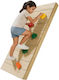 Showood Showood Kletterzubehör Griffe Zum Klettern 53152