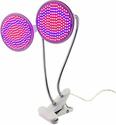 Alista Home Grow Light Alista Home Grow Light
