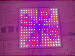 Alista Home Grow Light cu LED și Putere 15W M25...