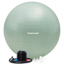 Tunturi Pilates Übungsball in Grünem Farbe