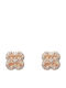 U.S. Polo Assn. Earrings