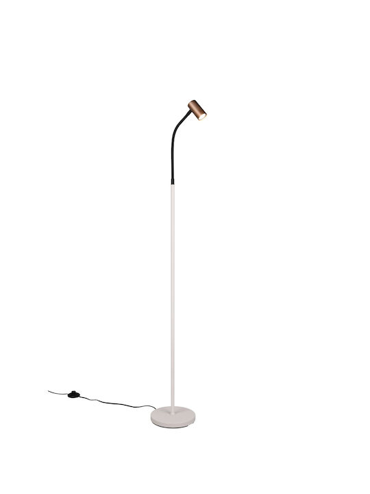 Trio Lighting Φωτιστικό Δαπέδου Καφέ