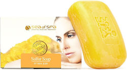 Sea of Spa Sea Olive Oil Soap Bar 1 Piece