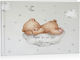 Balloon Baby Teddy Guest Book Made of Cardboard
